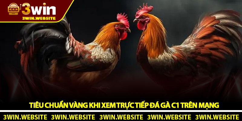 Tiêu Chuẩn Vàng Khi Xem Trực Tiếp Đá Gà C1 Trên Mạng