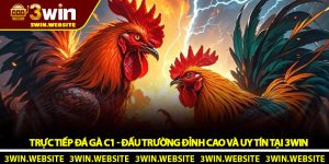 Trực Tiếp Đá Gà C1 - Đấu Trường Đỉnh Cao Và Uy Tín Tại 3Win