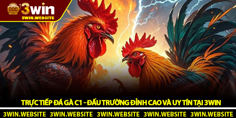 Trực Tiếp Đá Gà C1 - Đấu Trường Đỉnh Cao Và Uy Tín Tại 3Win